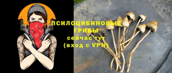 2c-b Белоозёрский