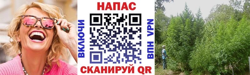 Бошки Шишки сатива  Луховицы 